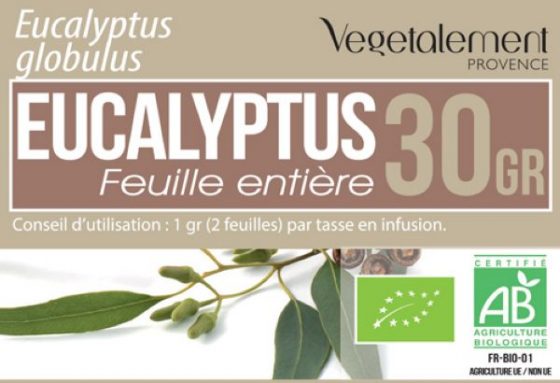 Tisane d'eucalicalyptus globulus BIO Végétalement Provence